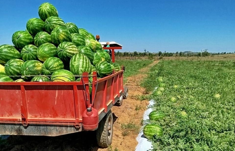 Público-alvo inclui agricultores familiares e assentados da reforma agrária