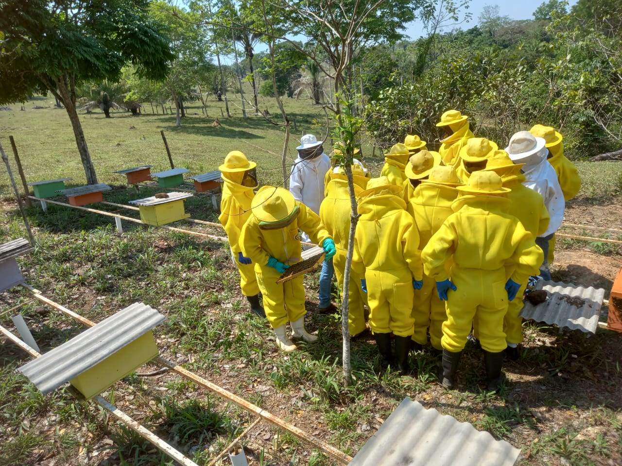A medida envolve apicultores, meliponicultores e criadores de abelhas