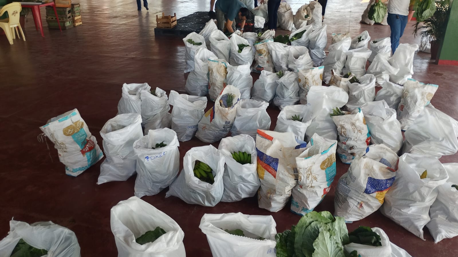 A concessão das cestas básicas deve estar articulada ao acompanhamento familiar no âmbito do Serviço de Proteção e Atendimento Integral à Família (PAIF)