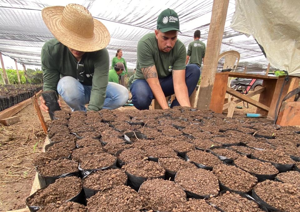 A iniciativa envolve a produção de mudas que futuramente serão distribuídas a produtores rurais