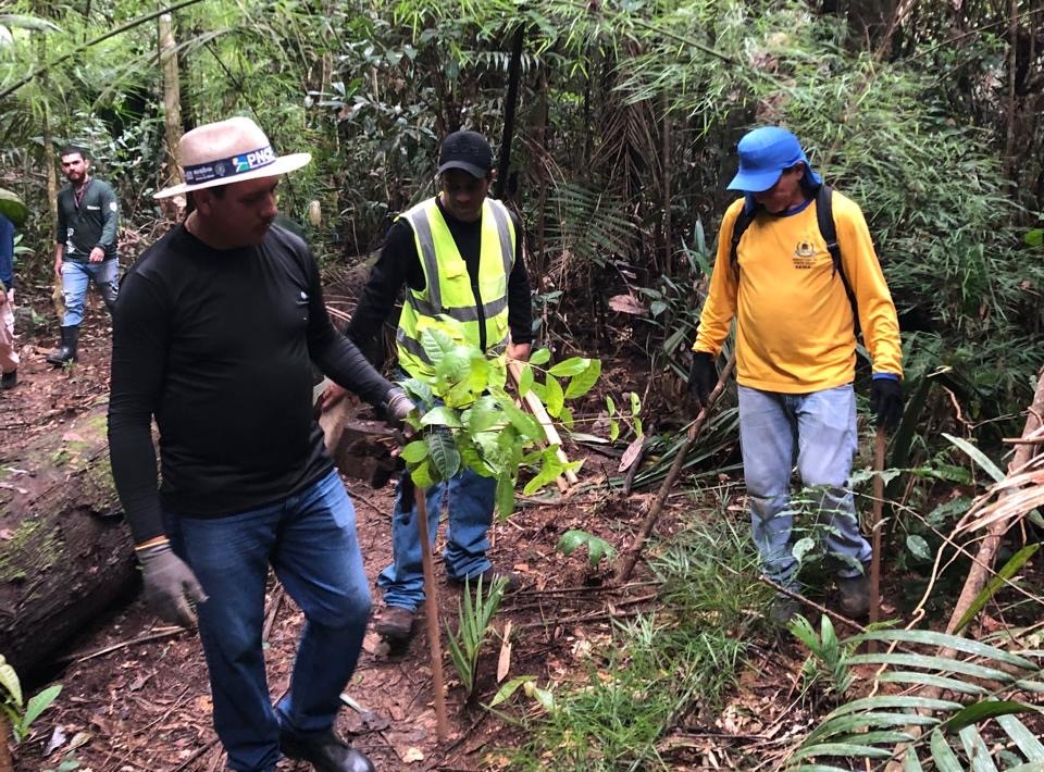 A ação une o período carnavalesco a práticas ambientais