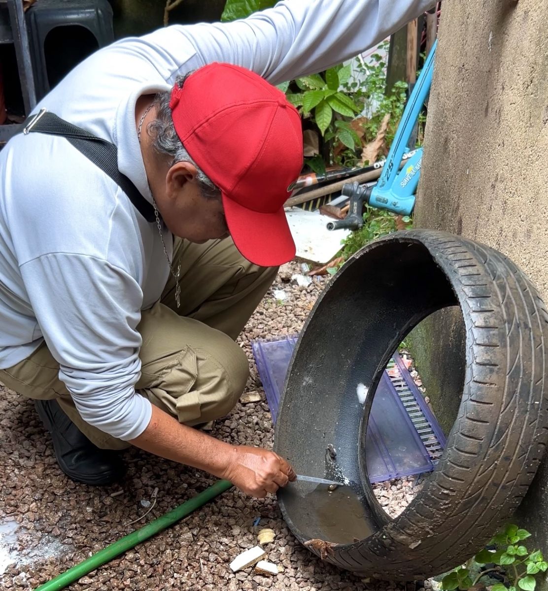 LIRAa é um método que permite identificar áreas com maior risco de infestação do mosquito