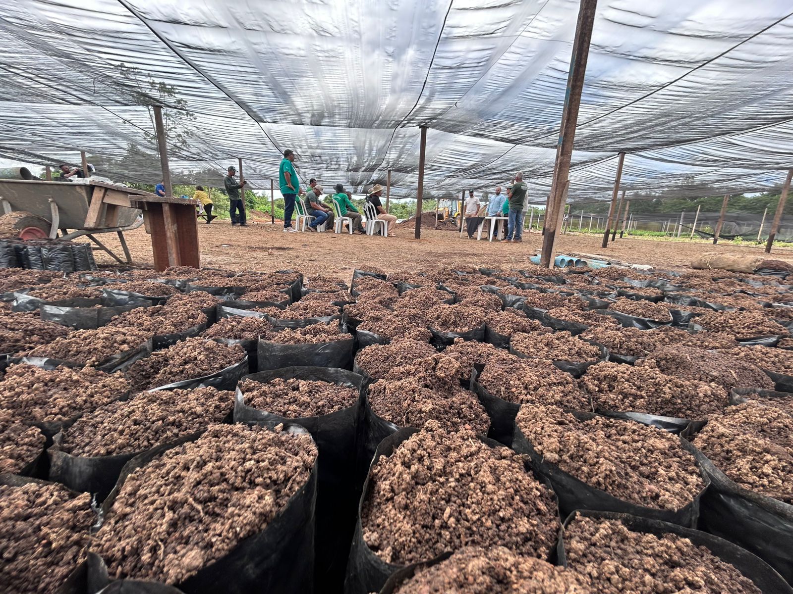 Com vigência prevista de 24 meses, o Fomenta Cacau também contempla capacitação técnica de produtores e da equipe do viveiro municipal