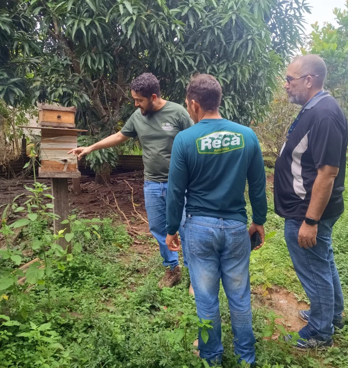 Agenda incluiu ainda visita à propriedade de um apicultor associado.